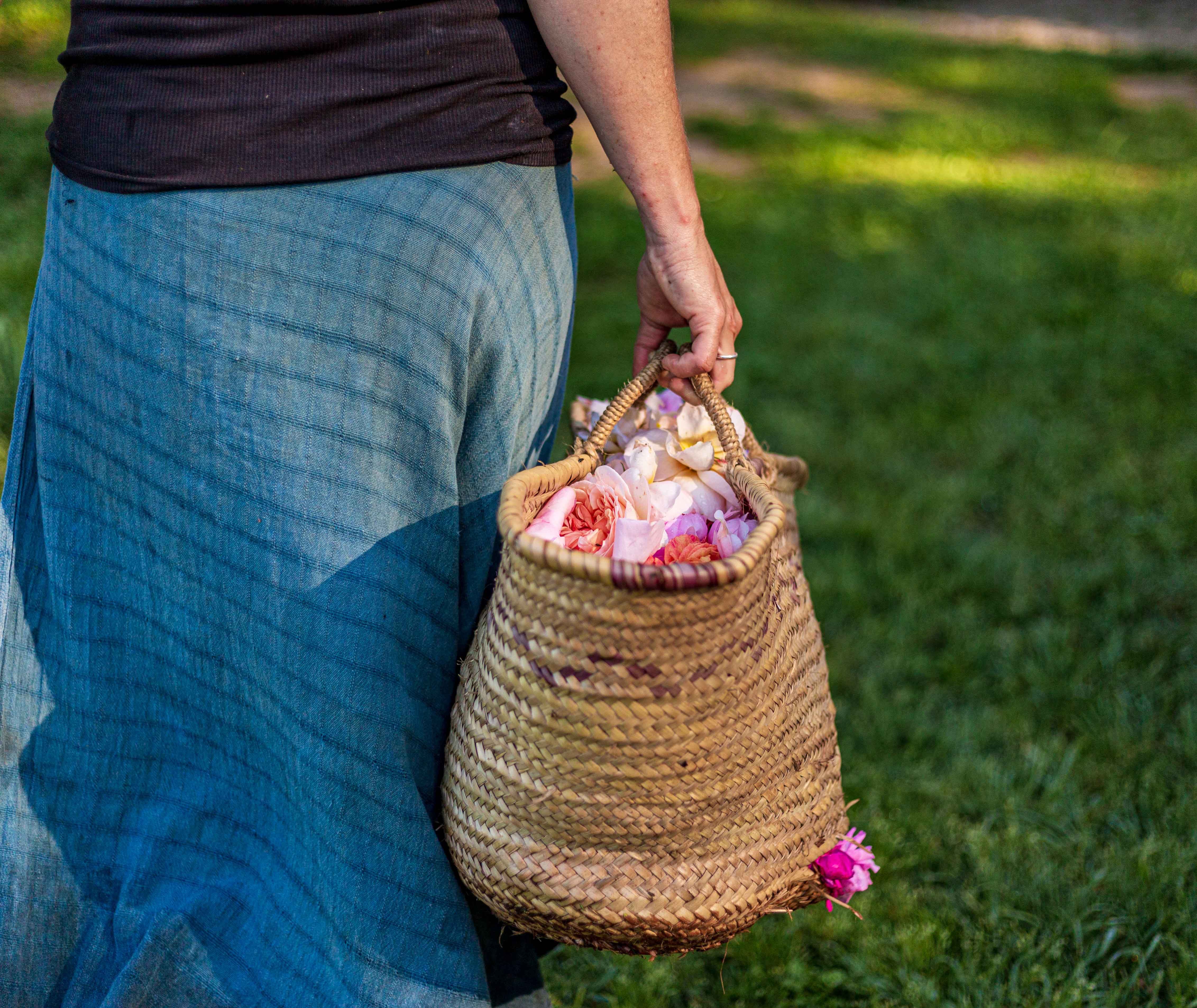 Qué flores recolectar en Mayo