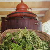 Aceite Esencial de Geranio Bio