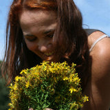 Organic St. John's Wort Oil Macerate