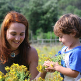 Organic St. John's Wort Oil Macerate