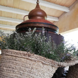 Organic Rosemary Essential Oil