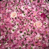 Hidrolato o agua floral de Rosas Antiguas Bio