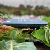Libro La Magia de las Plantas IV