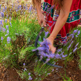 Aceite Esencial de Lavanda Bio