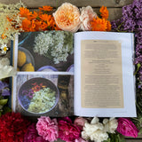 The Magic of Plants I