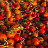 Organic Rosehip Oil Macerate