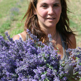 Hidrolato o agua floral de Lavanda Bio