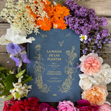 The Magic of Plants I
