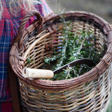 Organic Rosemary Essential Oil