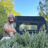 Organic Rosemary Essential Oil