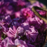 Organic Antique Roses Enfleurage
