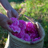 Hidrolato o agua floral de Rosas Antiguas Bio